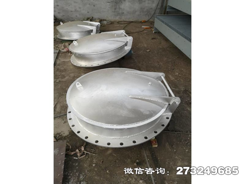 安徽不锈钢管道拍门