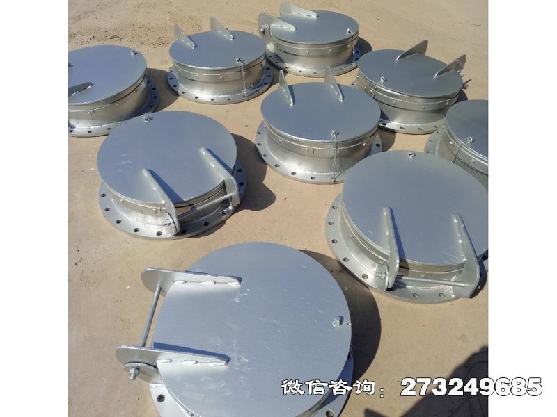 南阳防倒灌不锈钢拍门