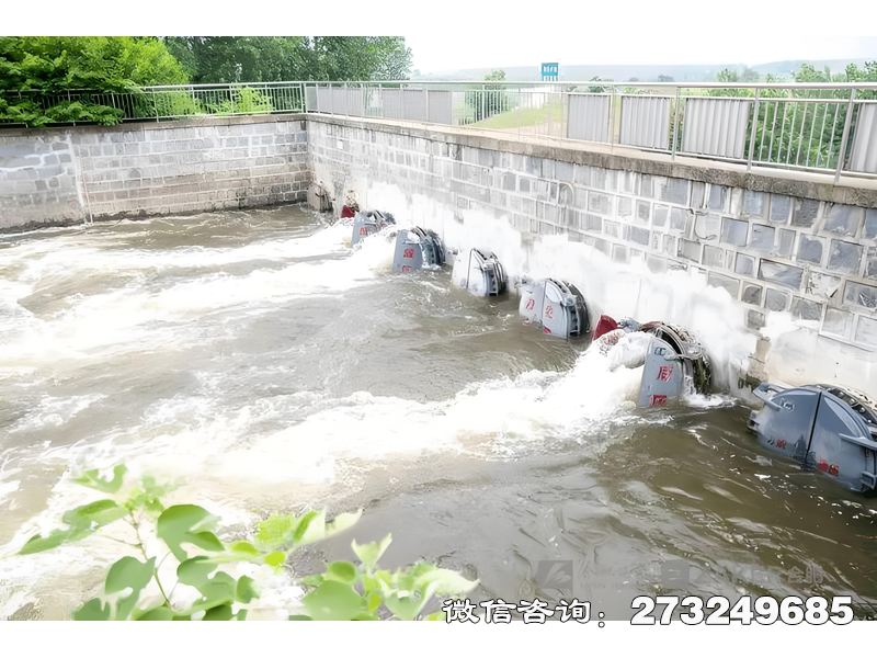 日照河道防洪堤排水潮门拍门
