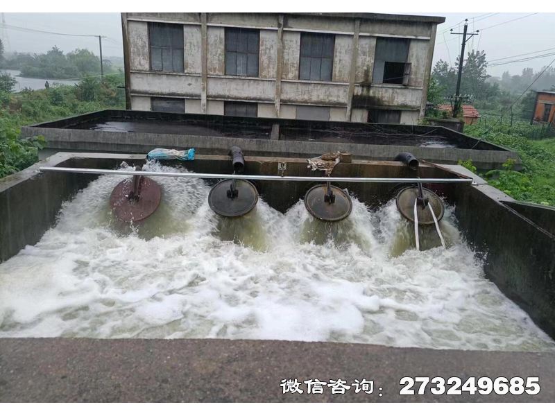 日照行洪区退水口潮门拍门