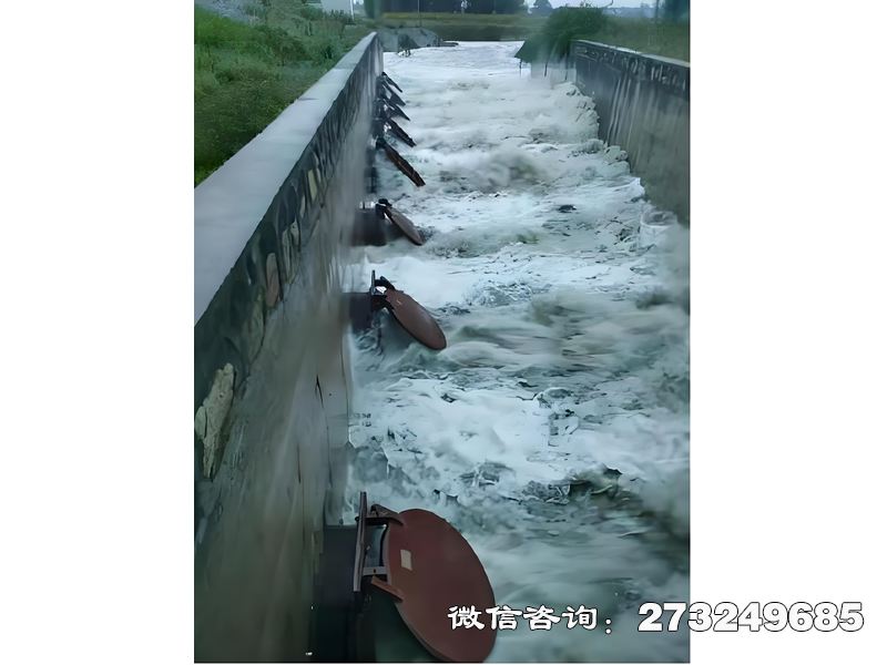 山西进出口潮门拍门