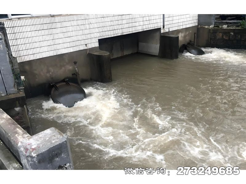 高台县泵站潮门拍门