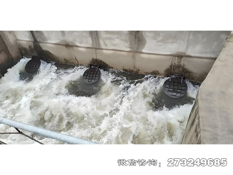 陕西海水养殖排水拍门