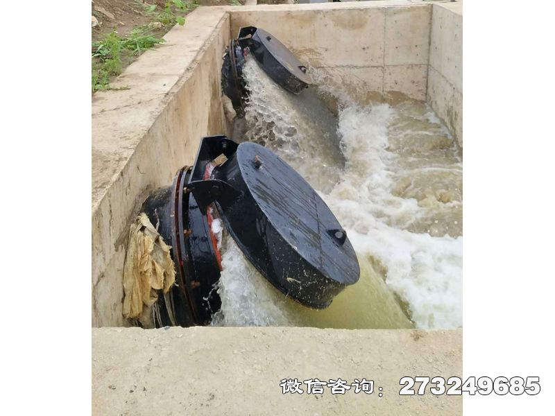 保亭水库潮门拍门