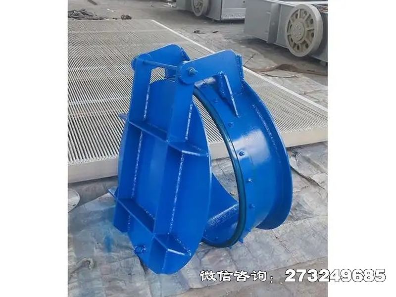 延边水库钢制防倒灌拍门