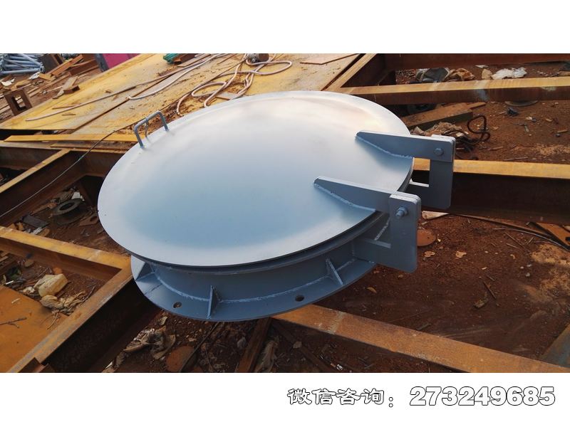 黄冈生态补水钢制拍门