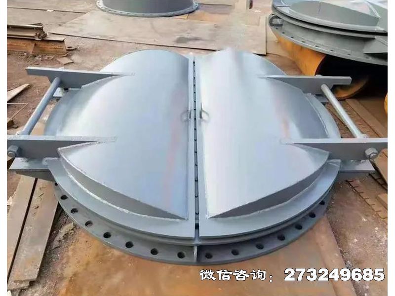 内蒙古防潮钢制海堤拍门
