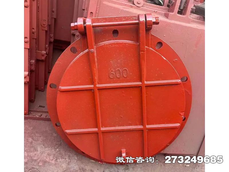 永登县耐腐钢制污水拍门