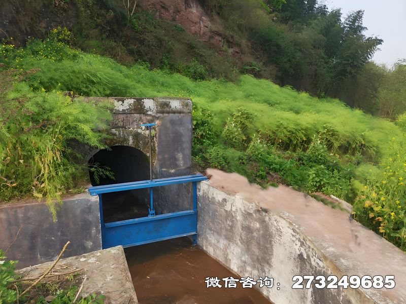 中站水渠排涝闸