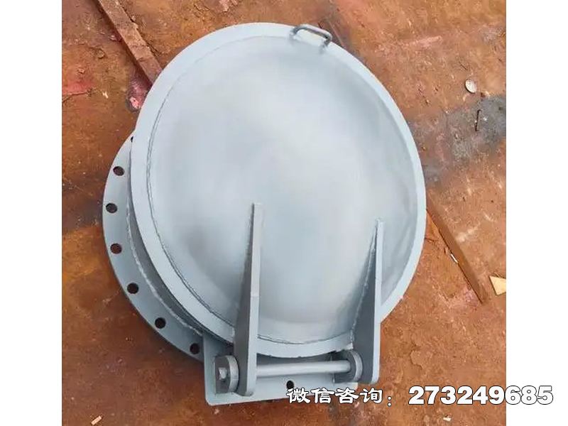 常德铸铁圆型防逆流拍门