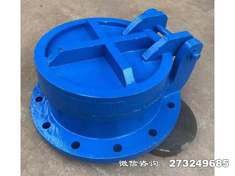 常德铸铁圆型截污拍门
